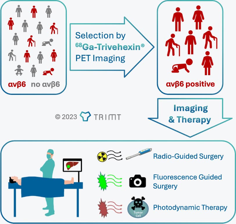 Molecular Imaging & Therapy 